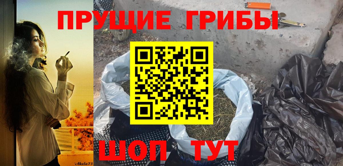 Галлюциногенные грибы прущие грибы  Галлюциногенные грибы Magic Shrooms  Вход с VPN  Зерноград 