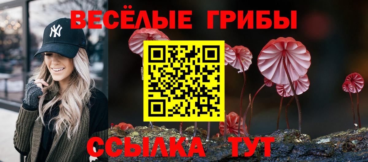 Псилоцибиновые грибы Magic Shrooms Зерноград